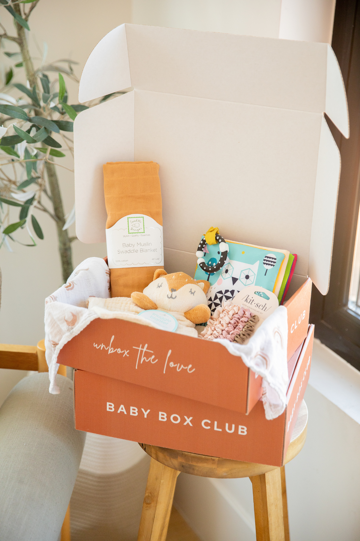 Monthly Subscription